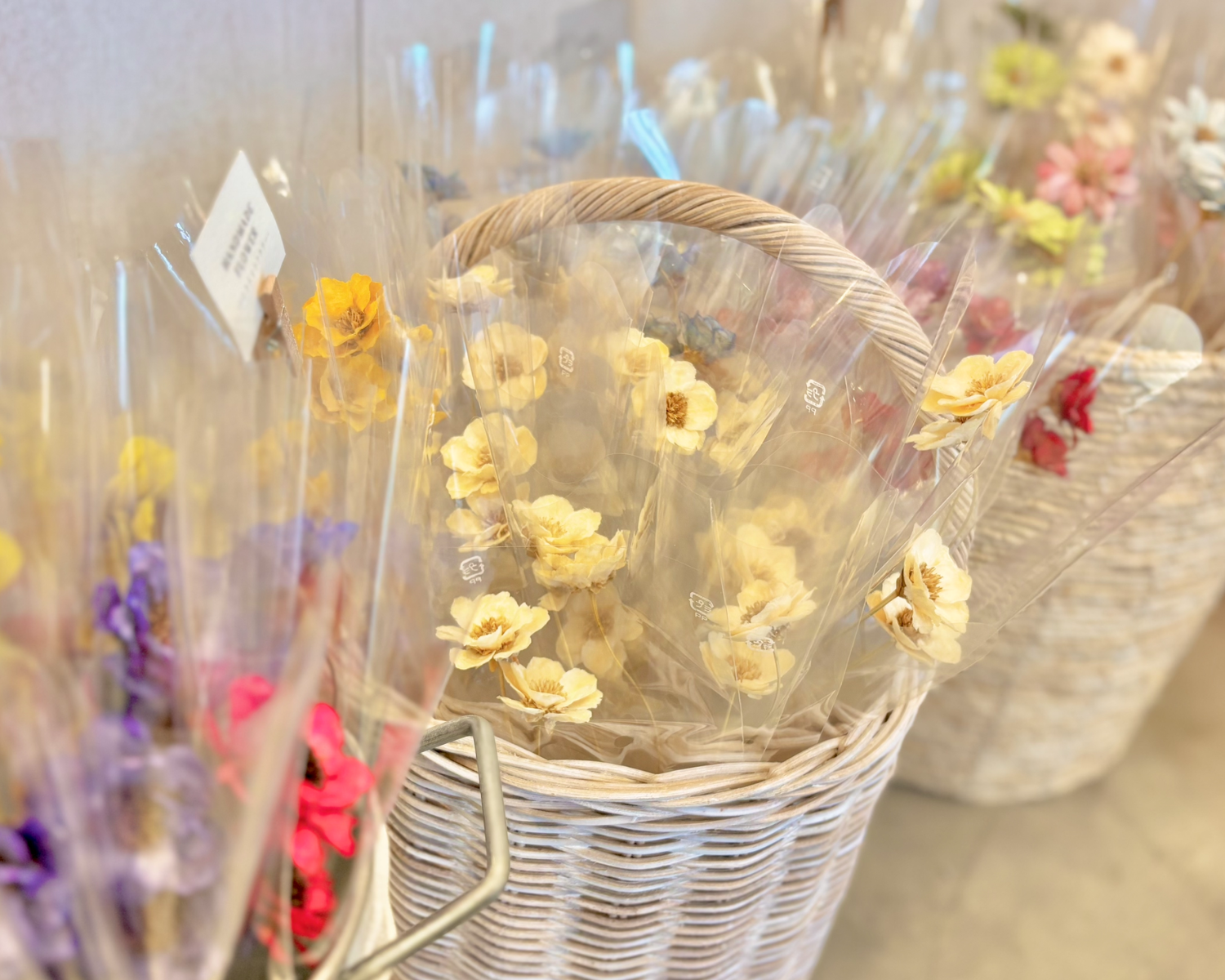 Calon DRY FLOWER銀座本店-ドライフラワー花材