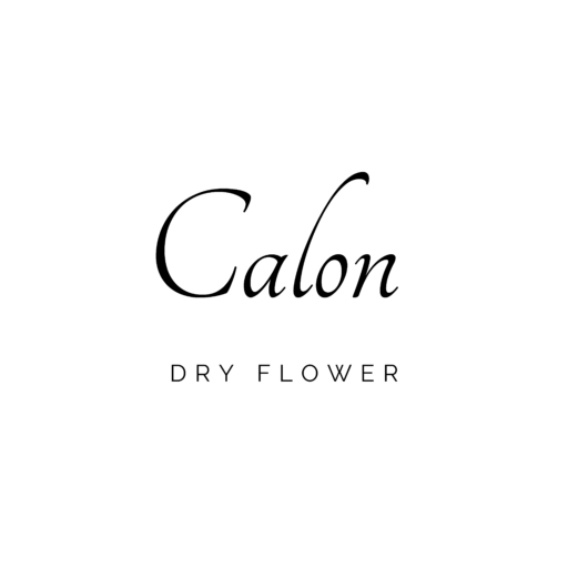 cropped-calon-透過.png