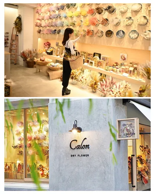 Calon DRY FLOWER